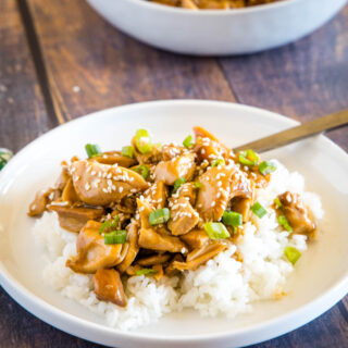 cropped picture of teriyaki chicken on a plate
