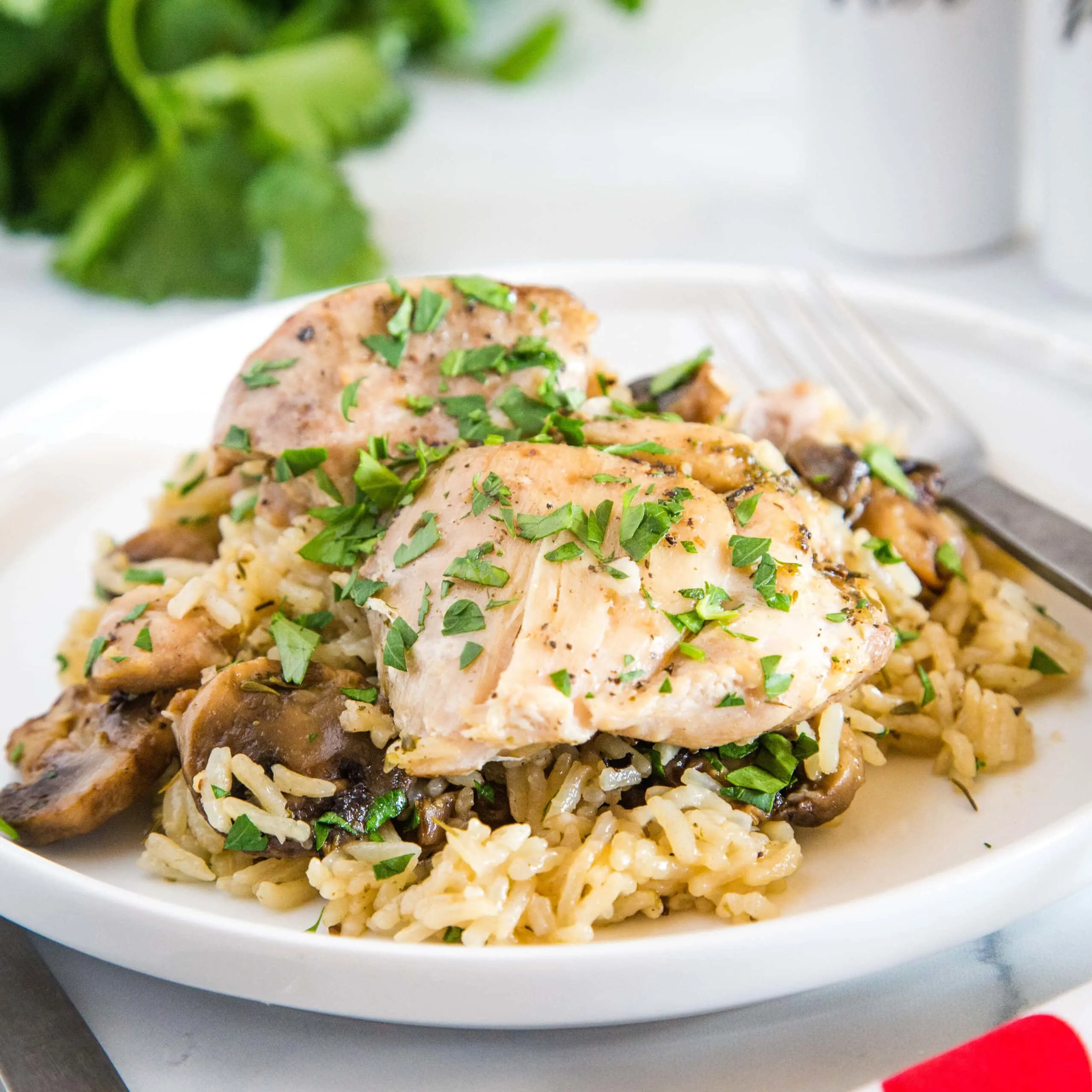 cropped picture of instant pot chicken thighs on plate with rice