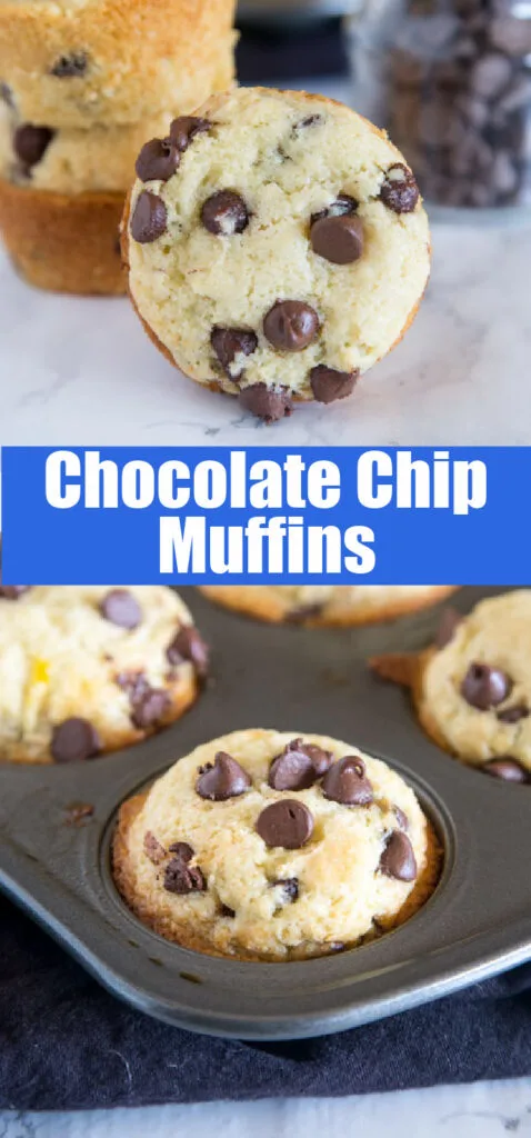 chocolate chip muffins in muffin tin