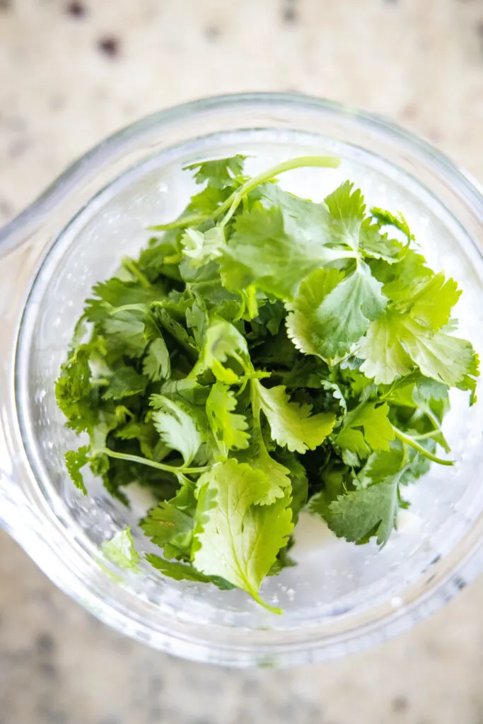 cilantro leaves in a blender