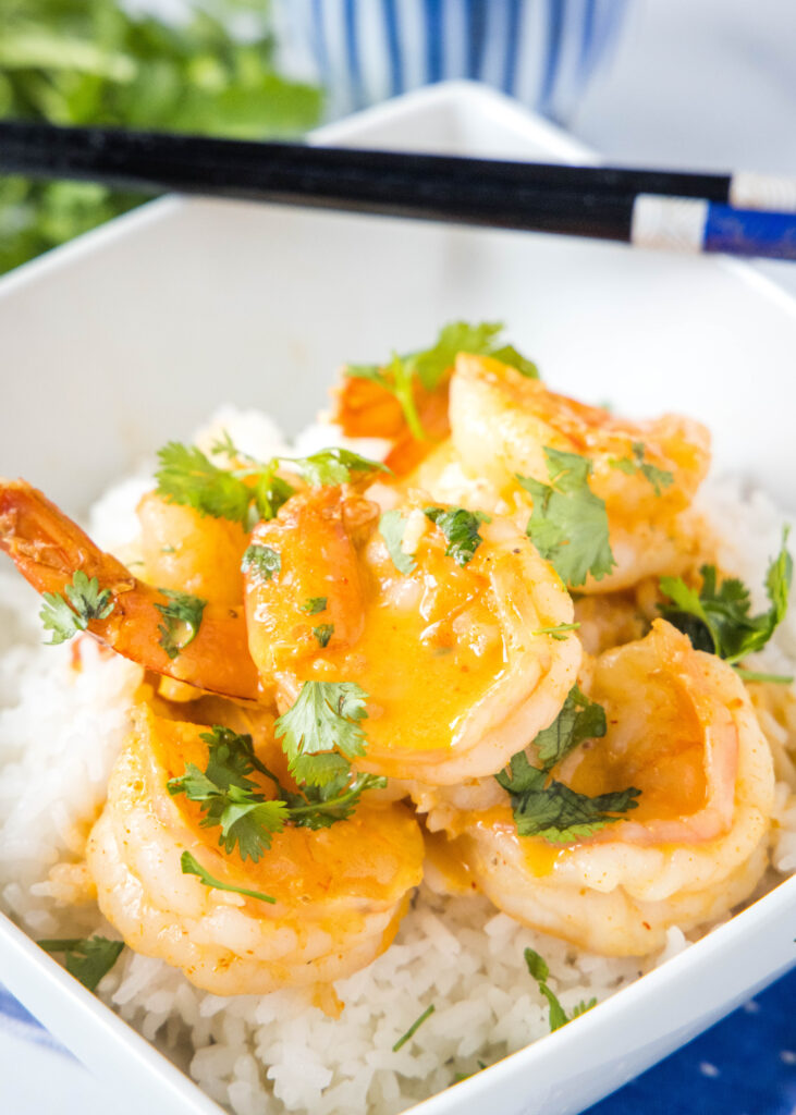 a bowl of coconut curry shrimp over rice
