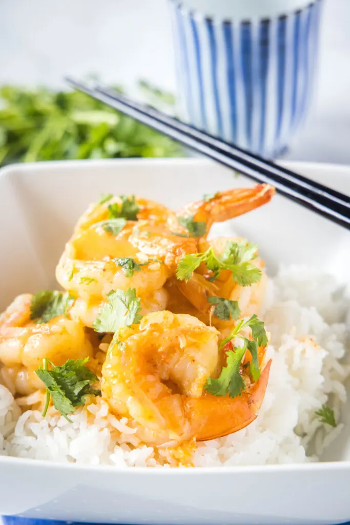 thai shrimp in curry sauce over rice