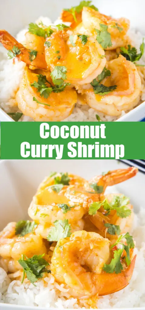 coconut curry shrimp close up