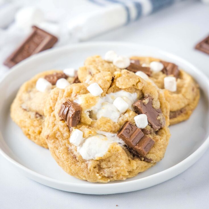 close up s'mores cookies on a plate
