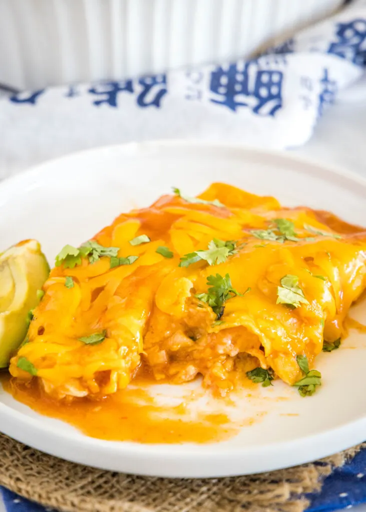 turkey enchiladas on a plate with a bite missing from one