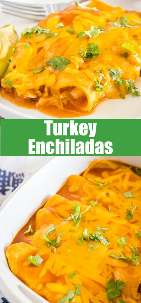 close up of turkey enchilads on a white plate