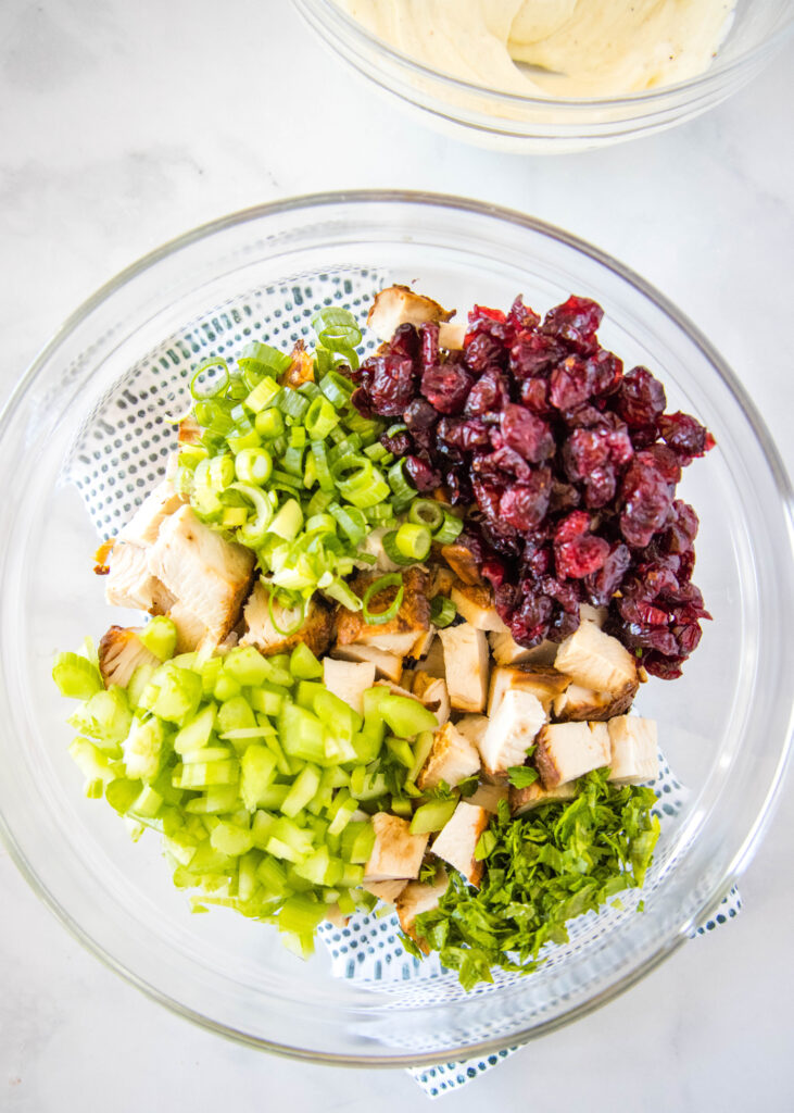 turkey, celery, onions, parsley and dried cranberries in a bowl