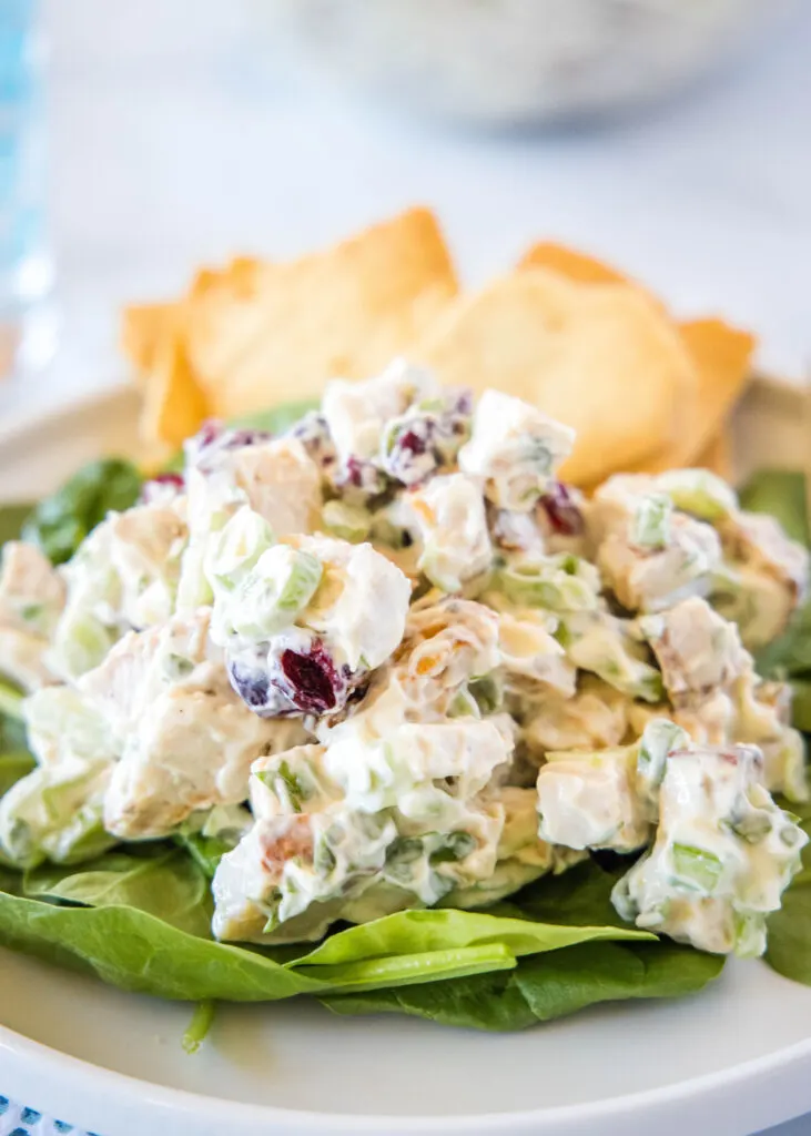 turkey salad on a bed of lettuce
