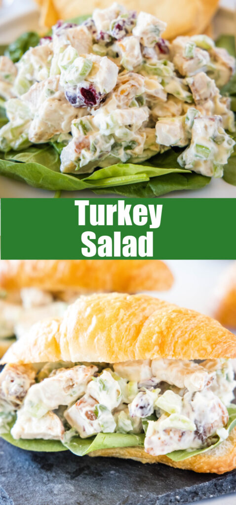 turkey salad close up on a bun