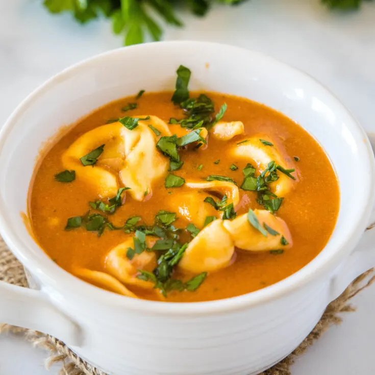 cropped in close up of tortellini soup