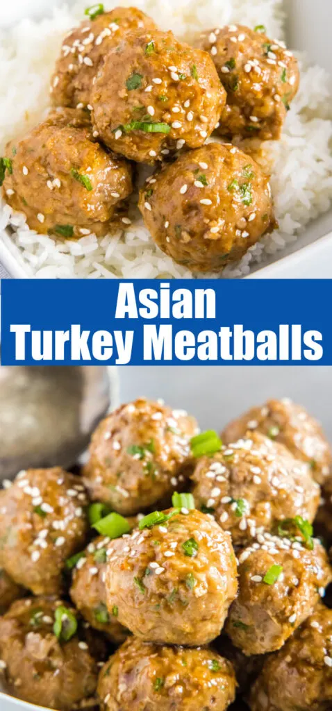 close up asian turkey meatballs