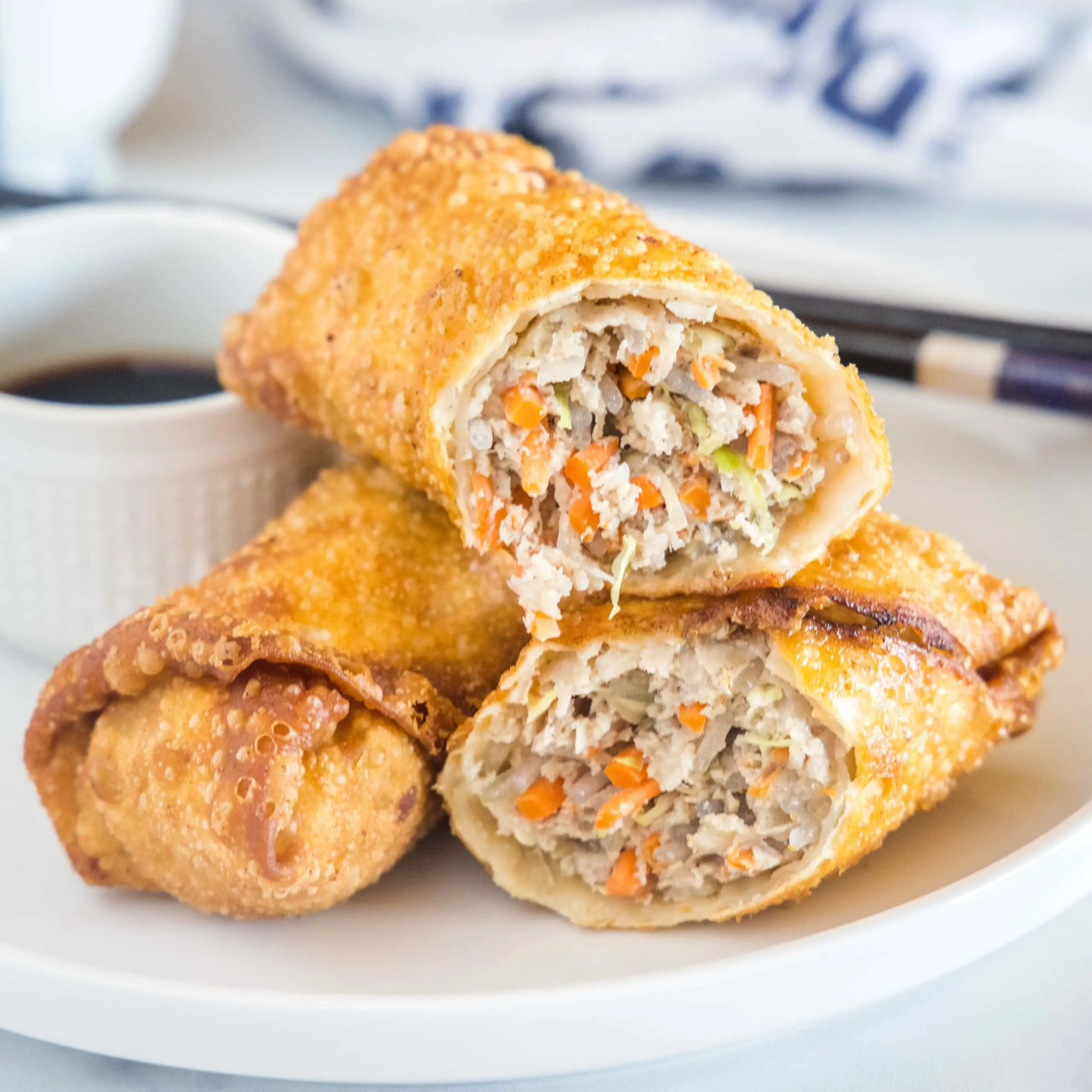 cropped in close up vietnamese egg rolls