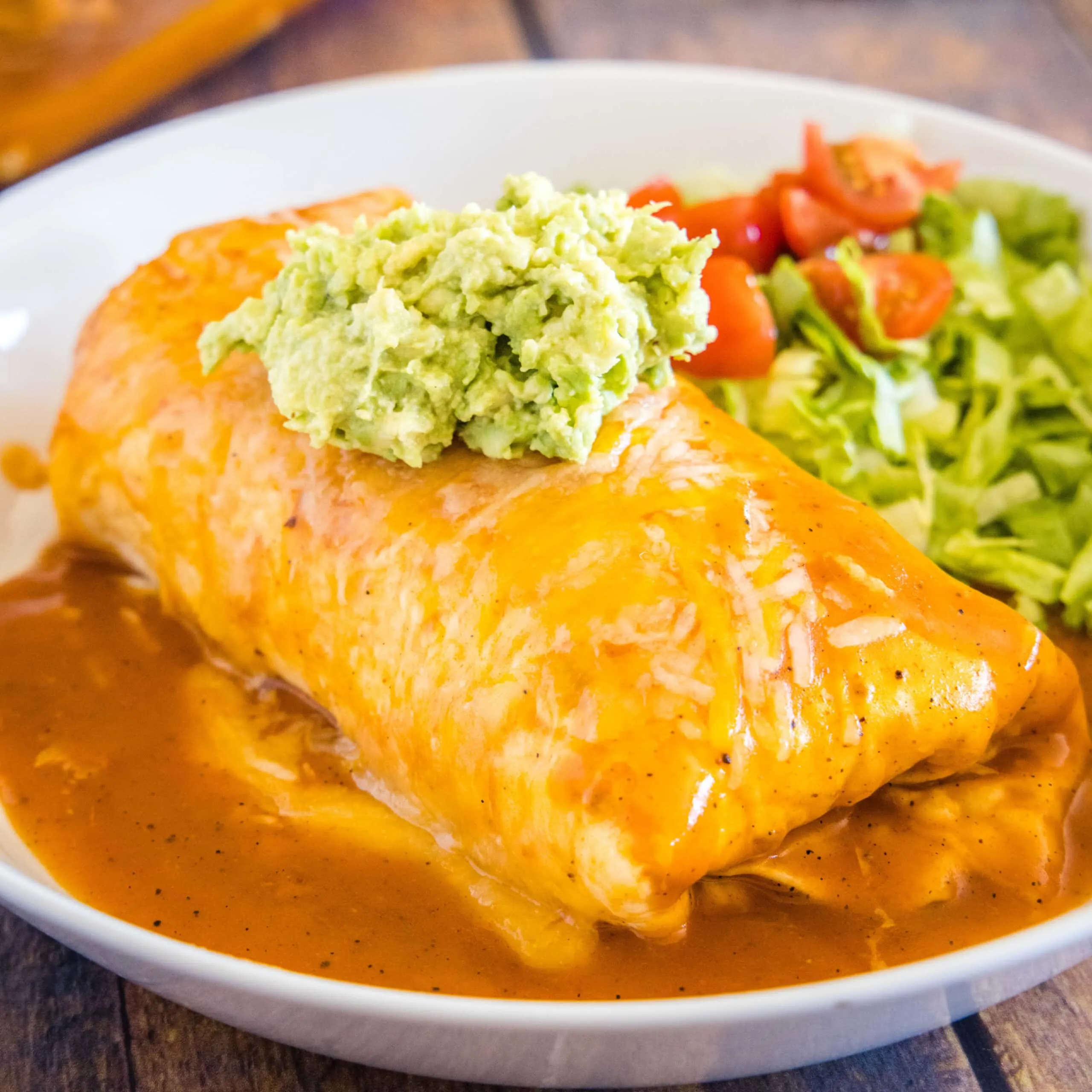 cropped in close up of wet burrito on a white plate