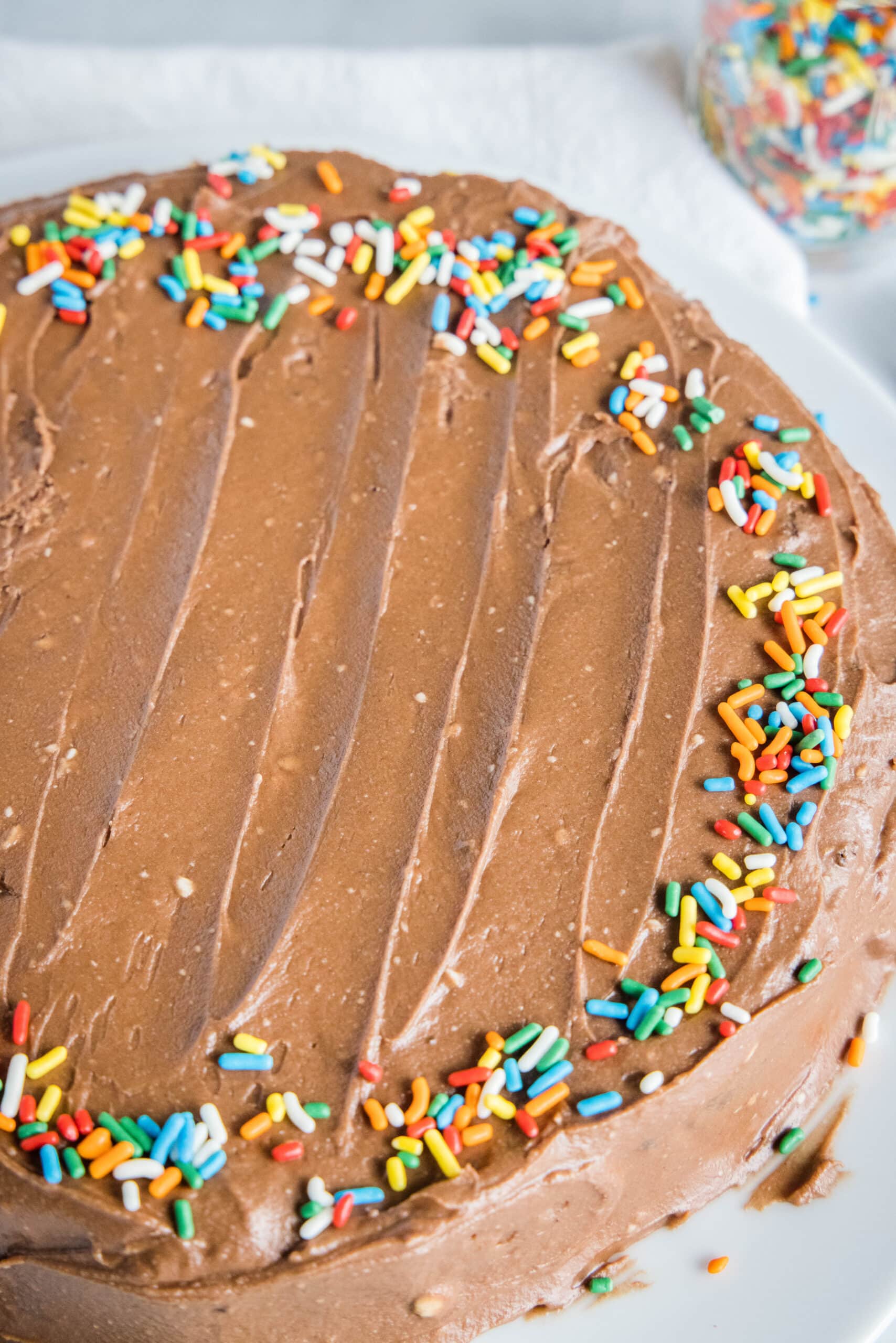 frosted chocolate cake with sprinkles