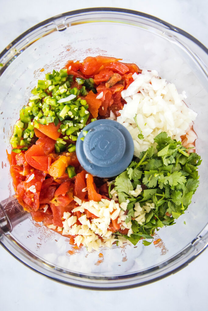 salsa ingredients in food processor