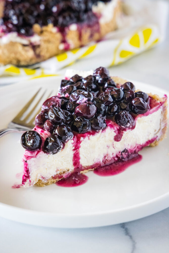 blueberry cheesecake on a white plate