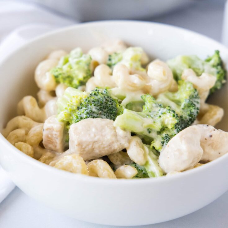 bowl of chicken broccoli alfredo close up