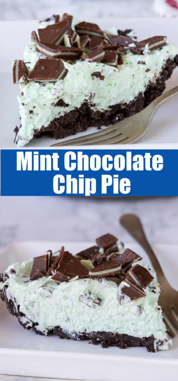 No Bake Mint Chocolate Chip Pie - Dinners, Dishes, and Desserts
