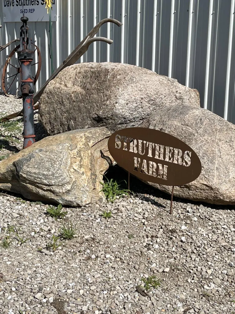 rocked with Struthers farm sign in front of them