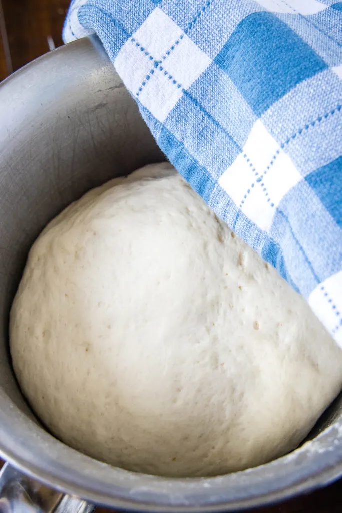 dough rising in mixing bowl