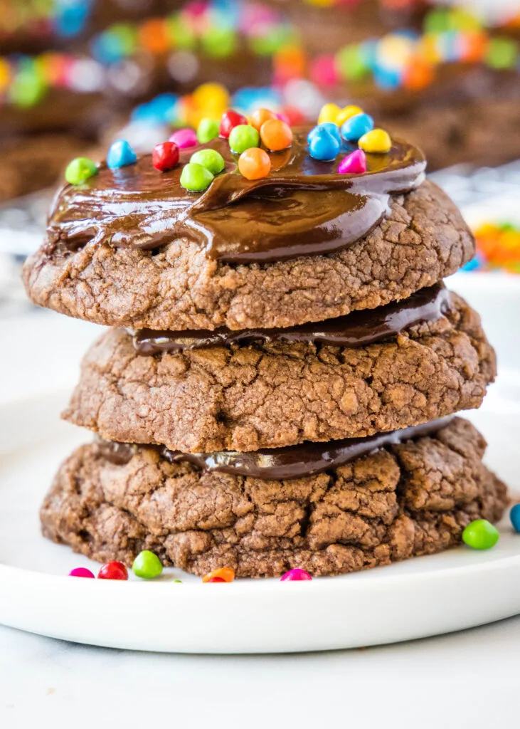 stack of chocoloate cookies on a white plate