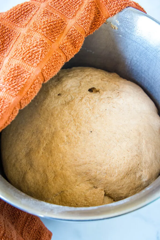 risen dough in mixing bowl