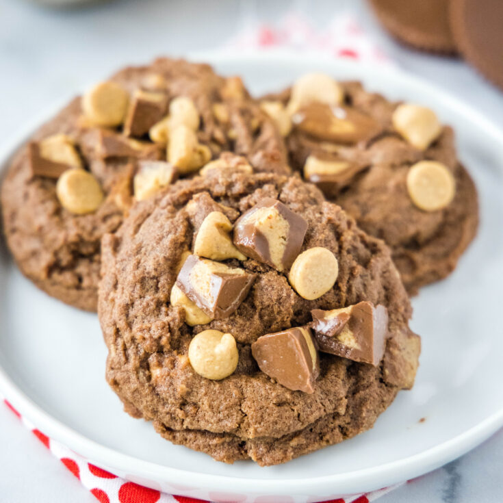chocolate peanut butter cookies on a white plate