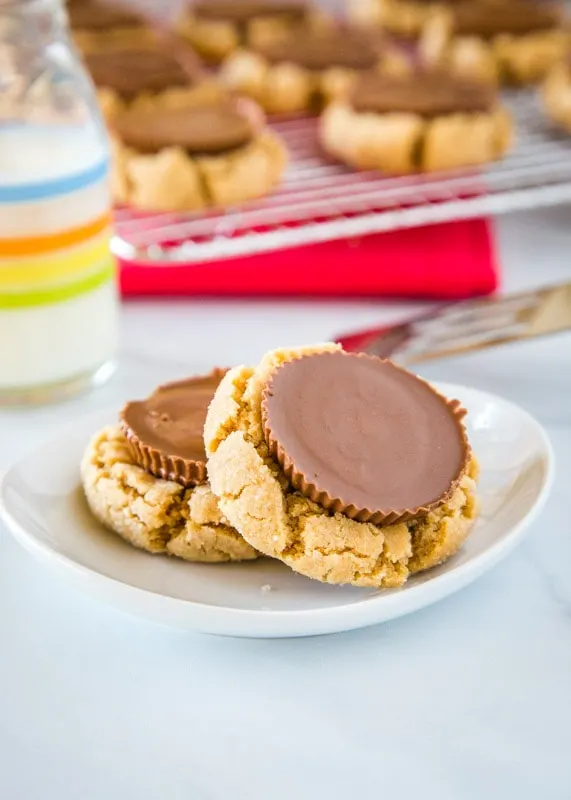 peanut butter blossom cookies arranged on a white plate