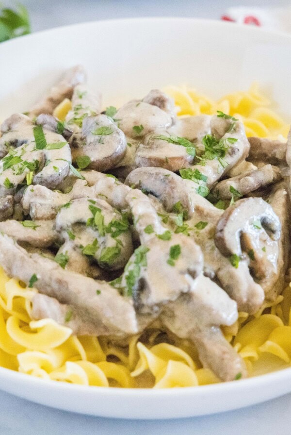 close up beef stroganoff and egg noodles