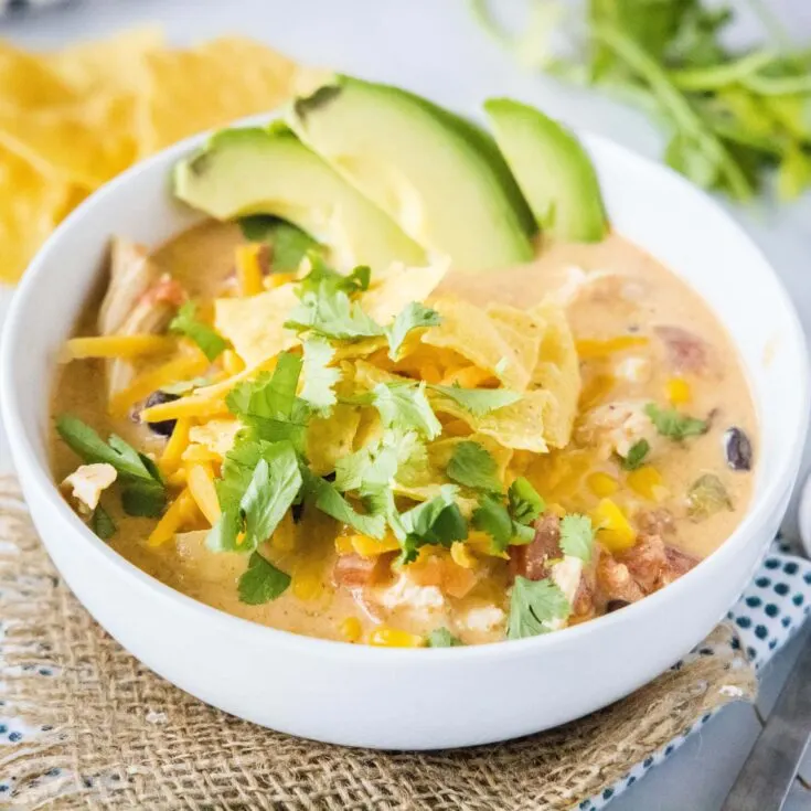 cropped image of chicken taco soup in a bowl with tortilla chips and cilantro