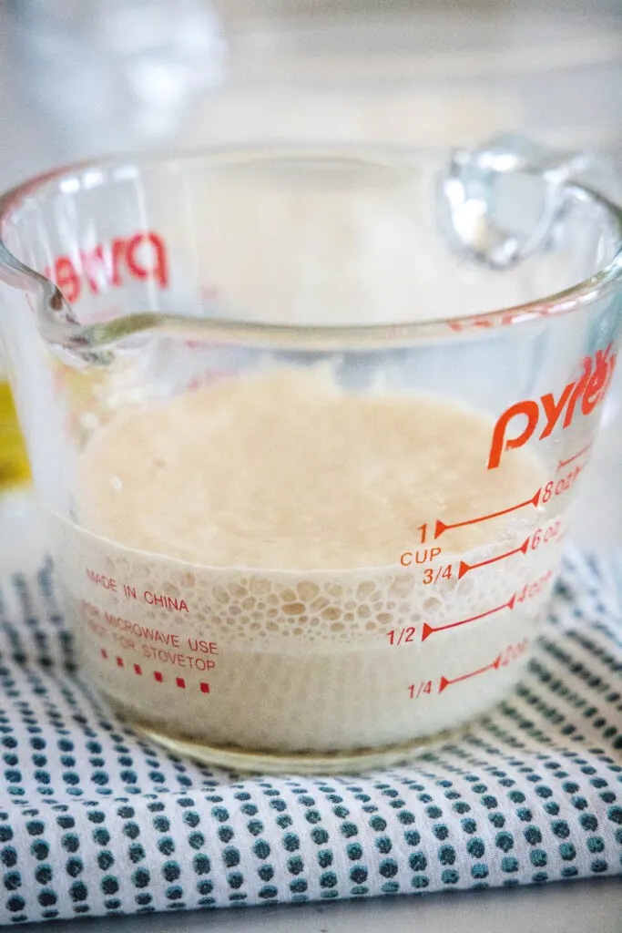 yeast blooming in a measuring cup