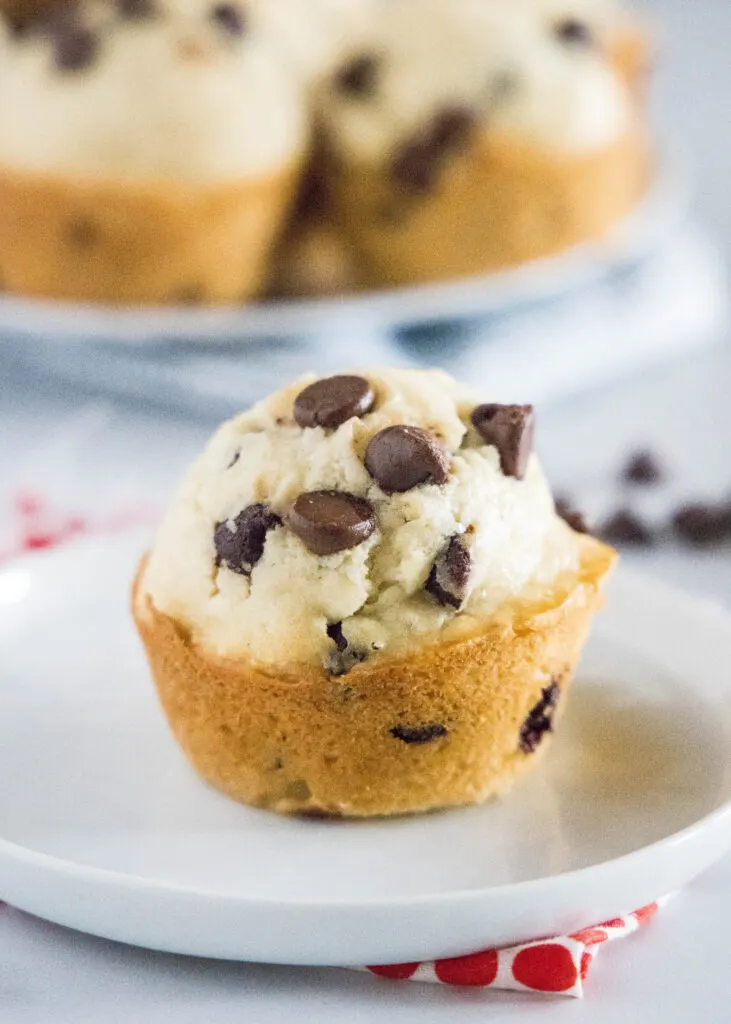 chocolate chip muffin on a white plate