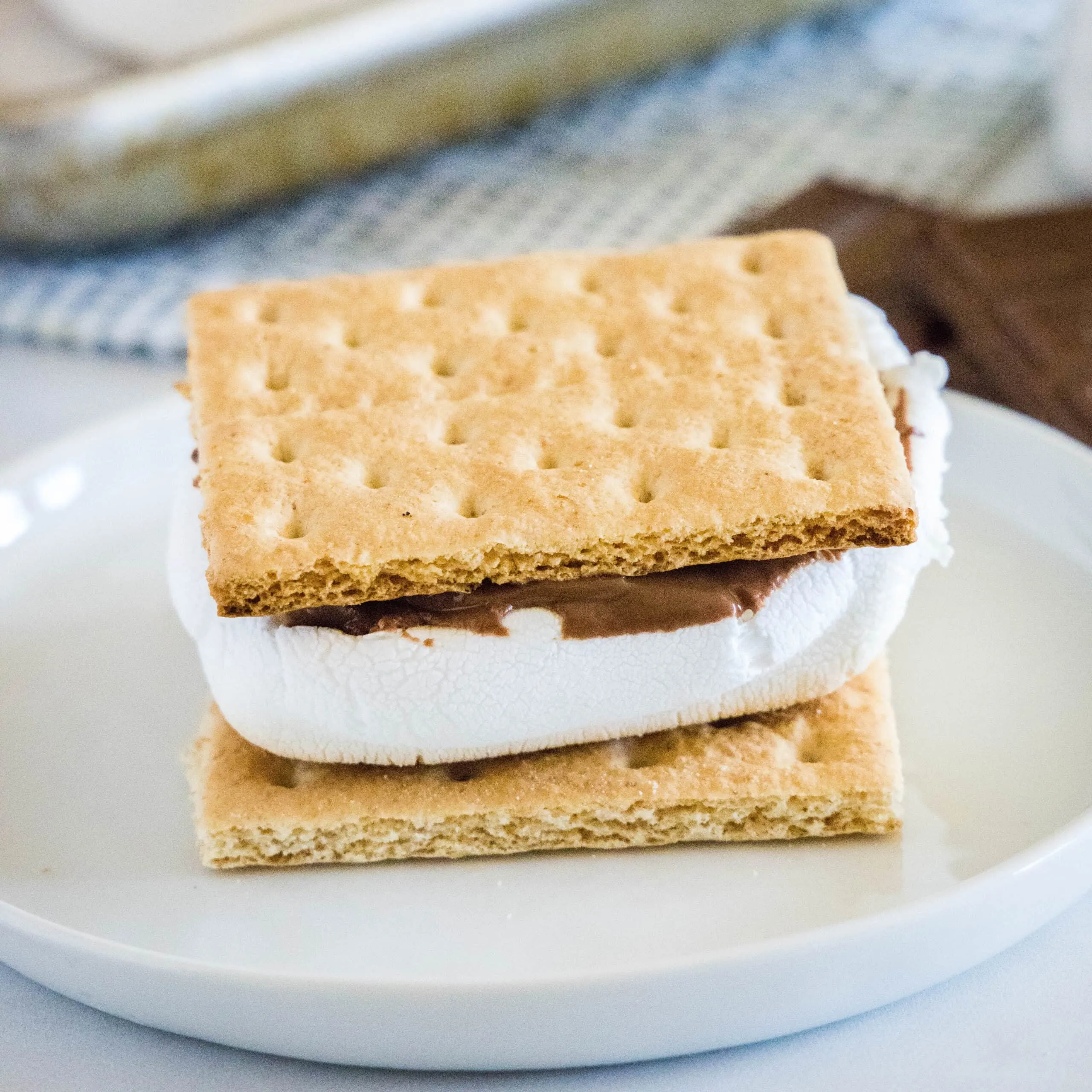 close up s'mores on a white plate