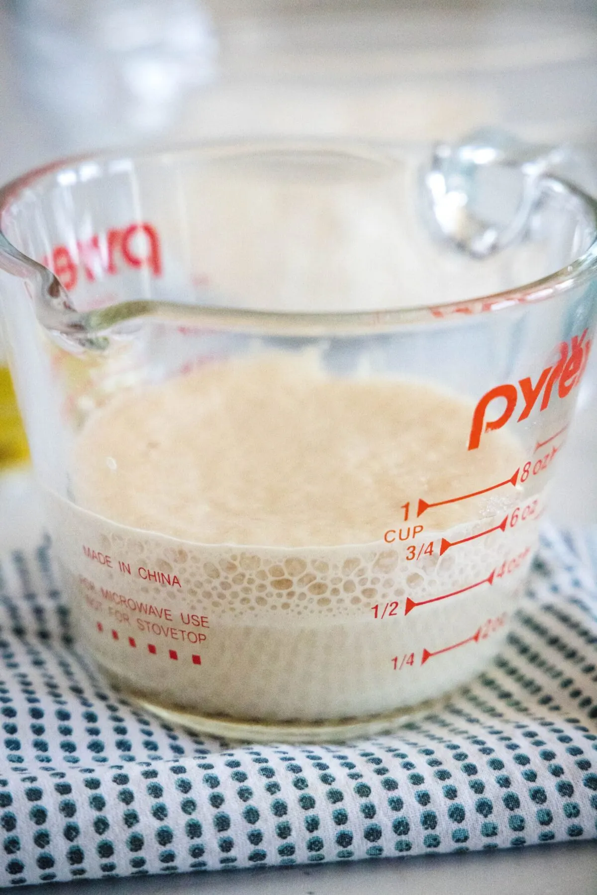 A pyrex container with yeast and water foaming in it
