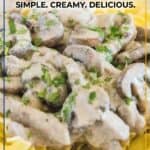 Beef Stroganoff pin with text