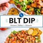 blt dip collage for pinterest