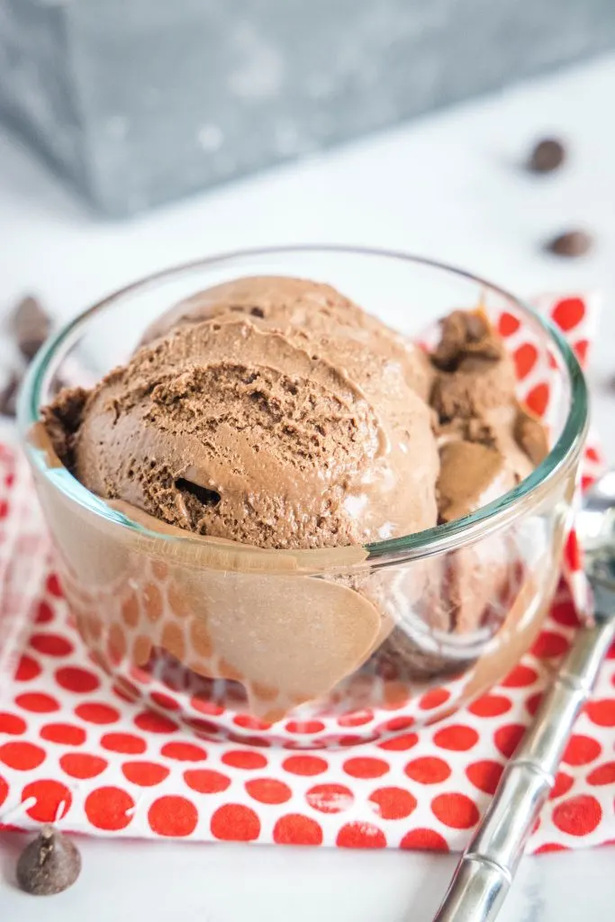 bowl of chocolate ice cream with a small spoon