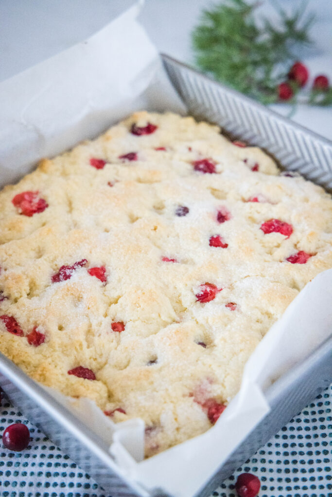 baked cranberry cake on a pan