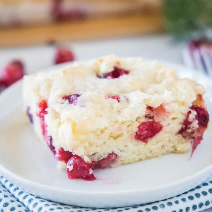 close up cranberry breakfast cake on a white plate