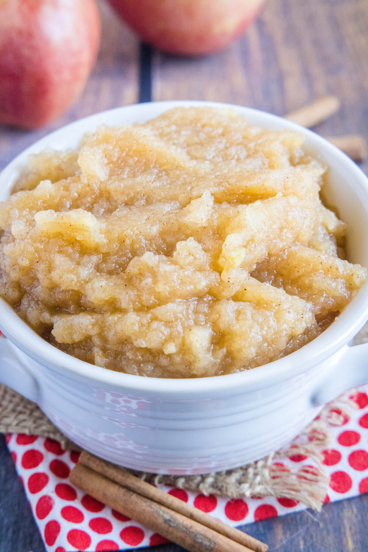 Close up of a bowl of applesauce