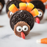 cropped close up oreo turkey cookie
