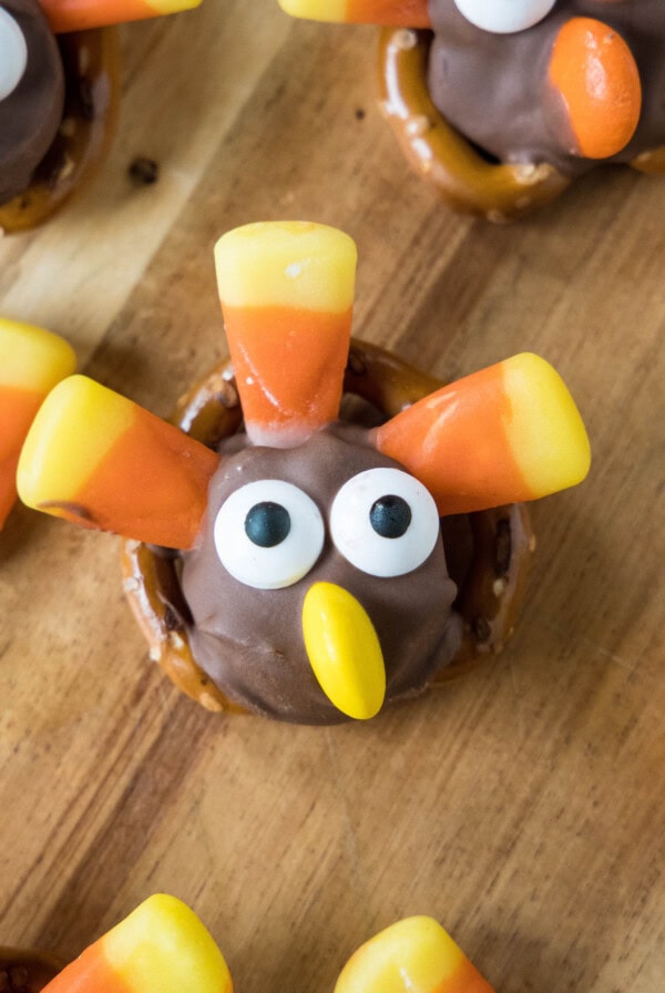 close up turkey pretzel