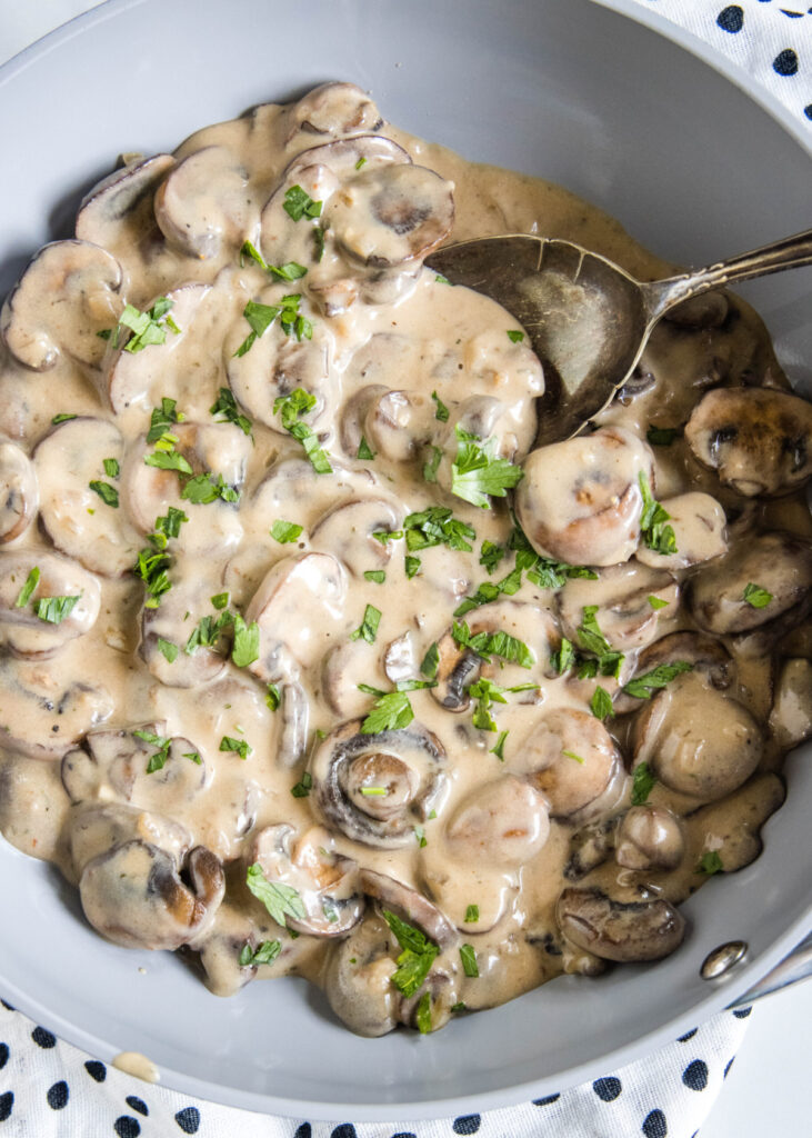 Overhead view of a bowl of mushroom stroganoff with a spoon