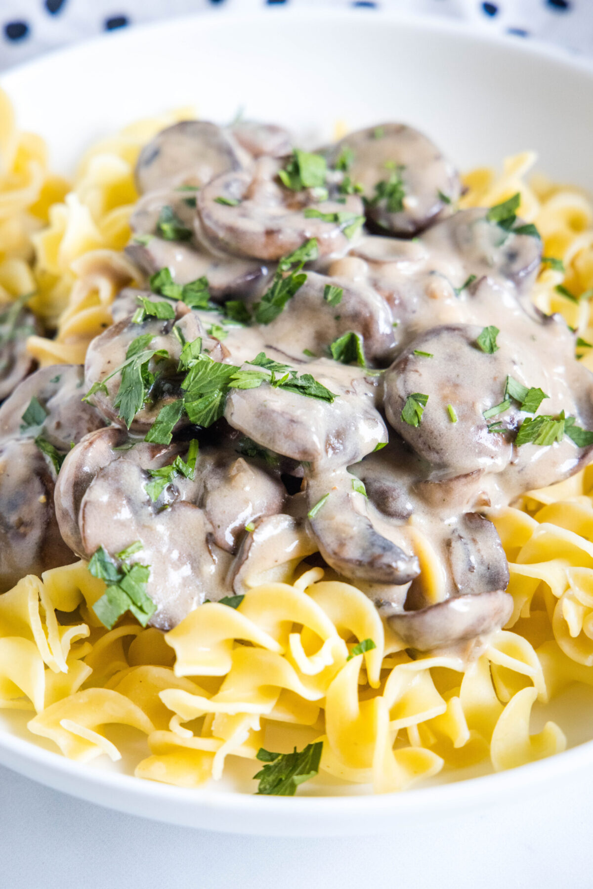 Close up of mushroom stroganoff on a bed of noodles