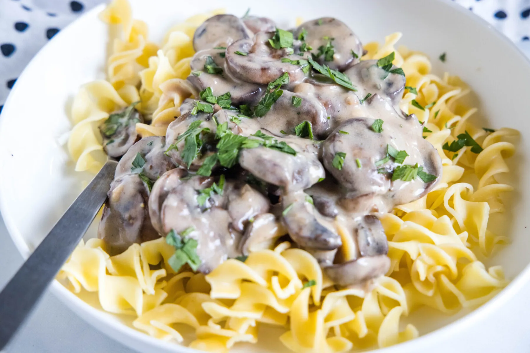 A bowl of noodles topped with mushroom stroganoff, with a fork
