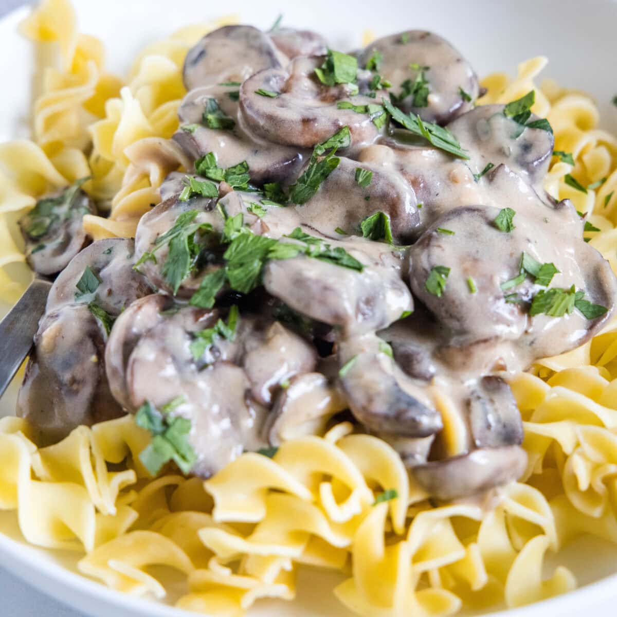 Mushroom Stroganoff