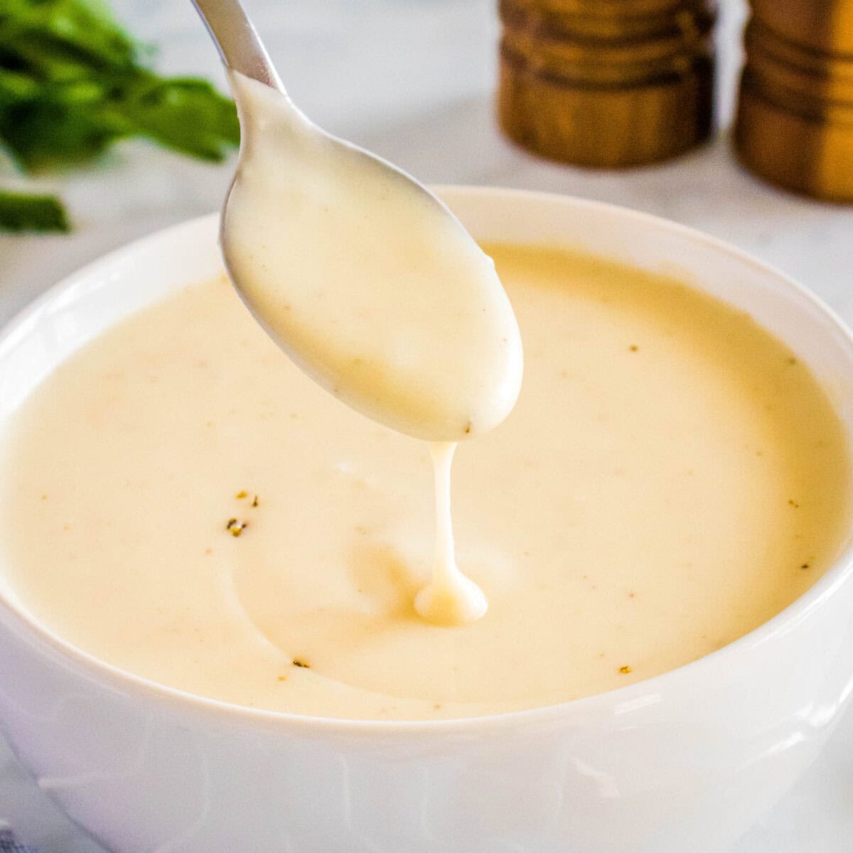 Cream of Chicken Soup