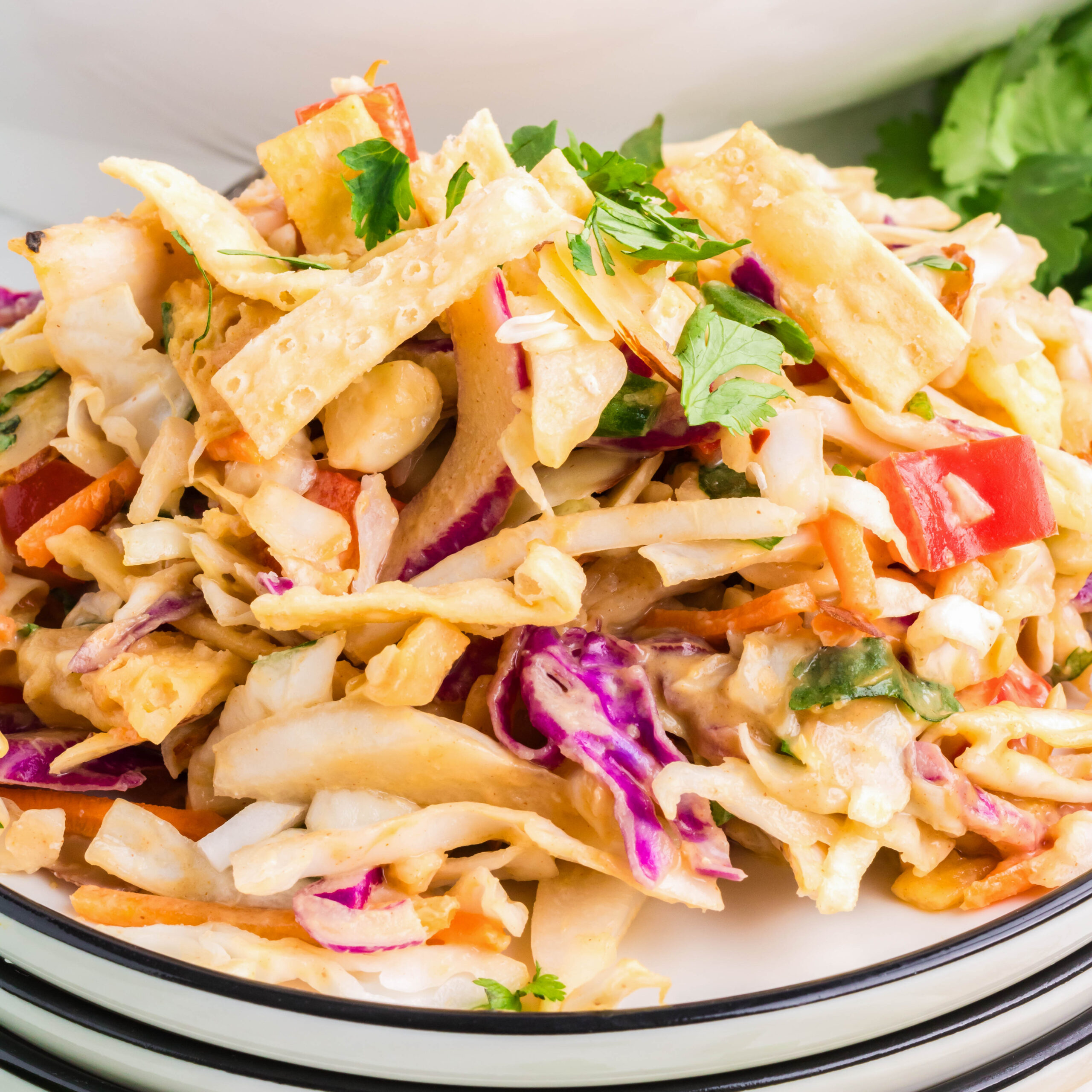 close up thai chicken salad on a plate
