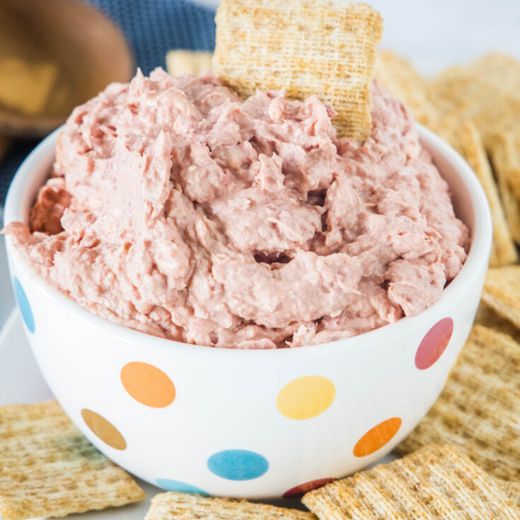 cropped close up braunschweiger dip in a bowl with crackers