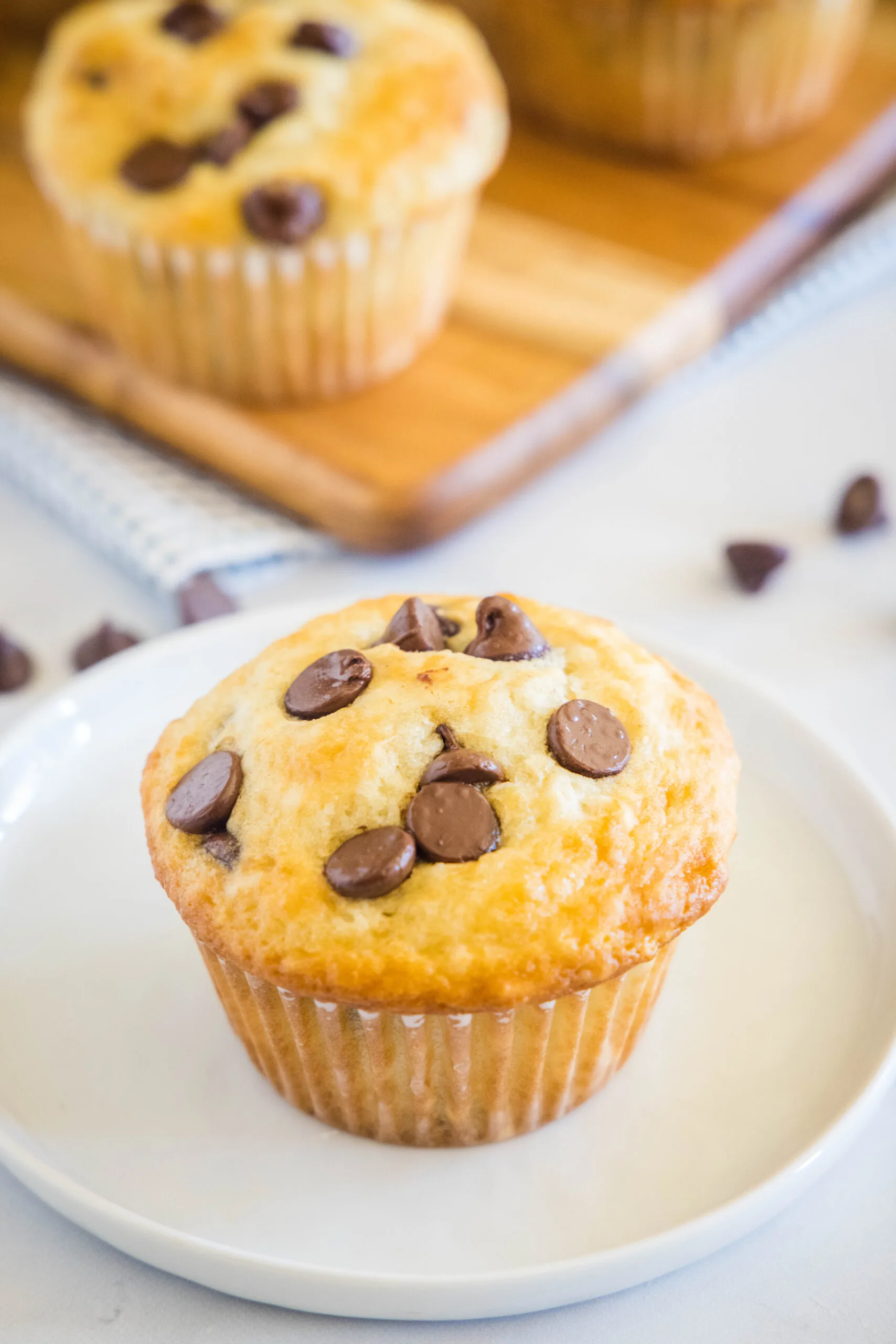 A chocolate chip buttermilk muffin on a white plate with more muffins in the background.